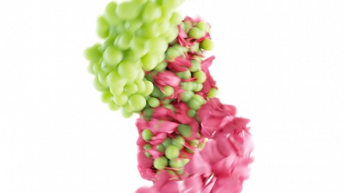 m_asam_vino_rose_lcd_1080x192000089